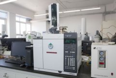  <strong>正在食物取健康学</strong>