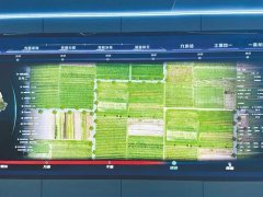 <b>比2021年降低1至2个百分</b>