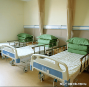 地方花圃配备无妨碍步道、认知症刺激花圃及智